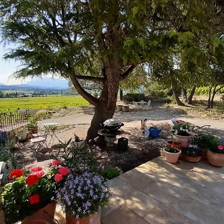Le Clos Des Pins, Vue Mont Ventoux Roaix Dış mekan fotoğraf