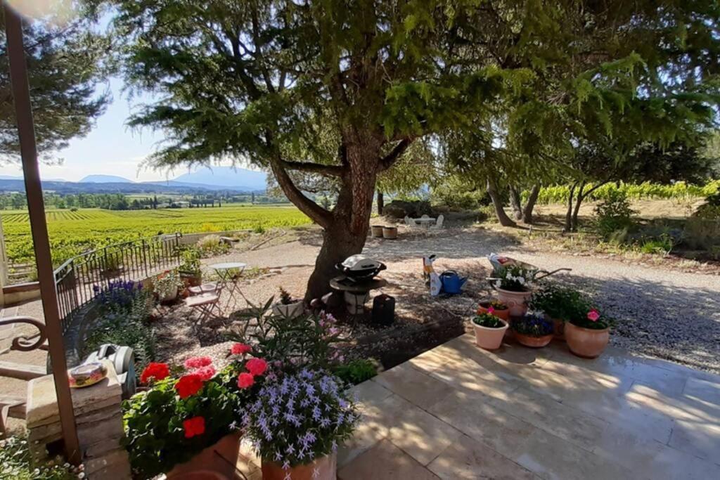 Le Clos Des Pins, Vue Mont Ventoux Roaix Dış mekan fotoğraf